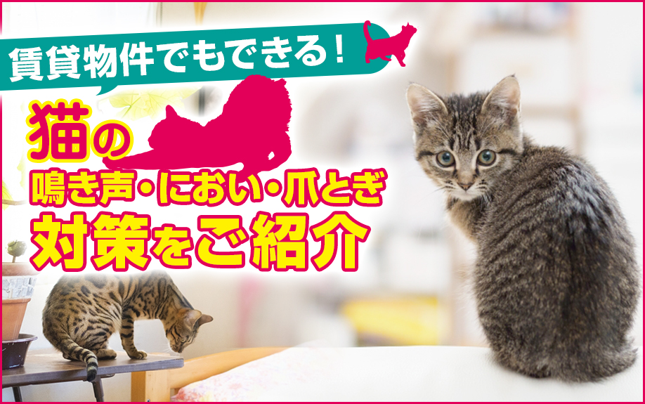 賃貸物件でもできる！猫の鳴き声・におい・爪とぎ対策をご紹介 | 調布で任意売却・賃貸管理・不動産買取のことならウィズ・コネクション株式会社